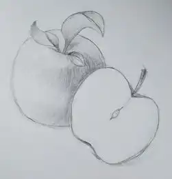 毫无素描训练作品二之苹果