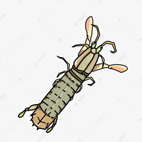 手绘卡通呆萌可爱皮皮虾素材图片免费下载千库网