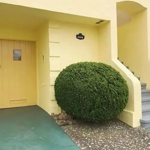 摄影如果开始搞黄色......