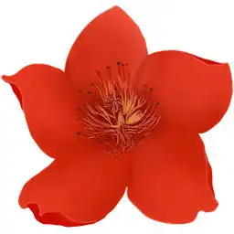 两只红花的头像