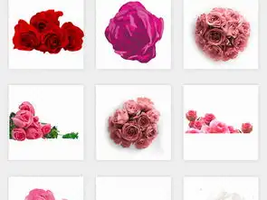 唯美手绘卡通红玫瑰花朵花束花瓣png免扣素材图片模板下载28.95mb花卉大全自然