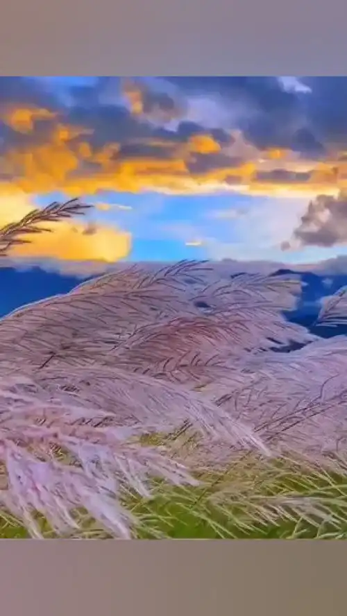 一起享受大自然的美治愈系风景情感