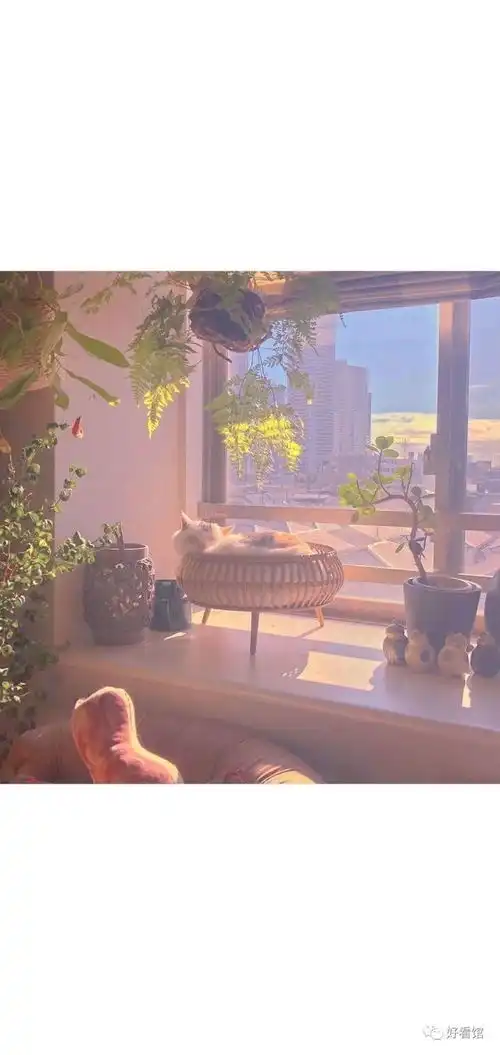 治愈系动漫壁纸超好看超治愈系看这个就够了