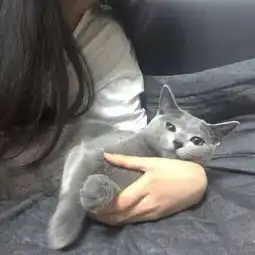 部位头