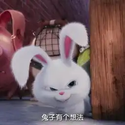 爱宠大机密丽颖微博头像小兔子各种照,这些剧情记得真爱粉么