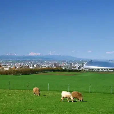 绿色风景头像最美北海道风光18张