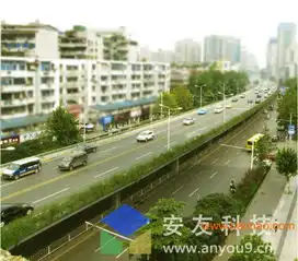 安友科技高架桥绿化,安友科技高架桥绿化生产厂家,安友科技高架桥绿化价格