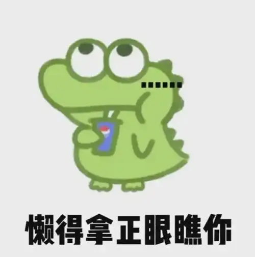 懒得拿正眼瞧你