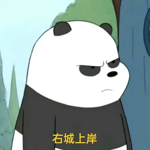 我的遴选日记大作文写作