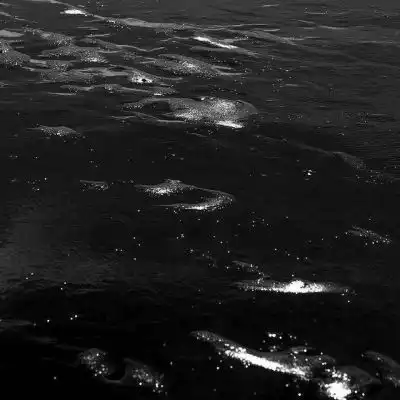 暗黑系黑色背景微丧我真的女生头像我要个性网