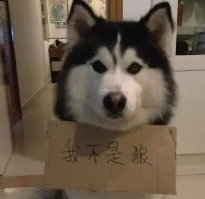 开心一刻偶遇导师买巧克力,他说是给老婆买的,坚持半年了