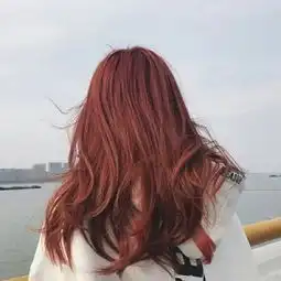 背影系列美女头像