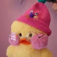 高清玻尿酸鸭情侣头像微信头像图片大全