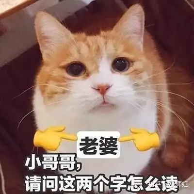 猫会因为知道自己很萌而卖萌吗
