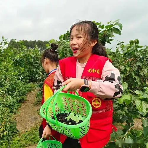 领养蚕宝宝,采摘桑葚贵港这群孩子玩嗨还学到科普知识