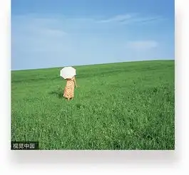 中信银行信用卡颜卡