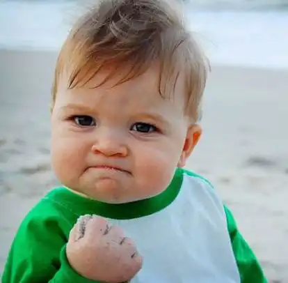 佛系青年选专业找工作指南