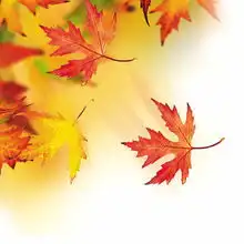 又到一年重阳时我们能为老人做什么