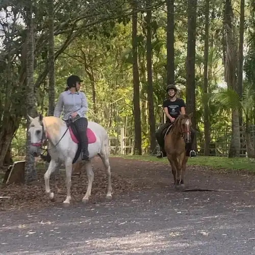 热带雨林马术课,感受澳式的贵族运动