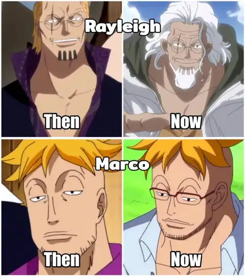 海贼王动漫形象变化,绿藻头更加鲜艳,骨头也会变老