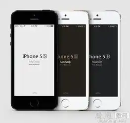 联通下调iphone5s5c售价新型号支持双4g