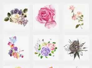 森系水彩手绘插画花鸟花卉花草叶子画芯背景图片素材模板下载117.12mb装饰图案大全其他