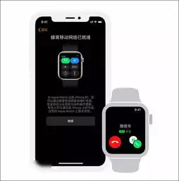 简洁直观苹果发布新技能教你玩转双卡双待