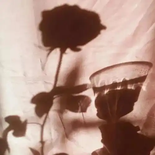 微丧系文案我们相濡以沫在盛世,你却从未许我一场不散的风华