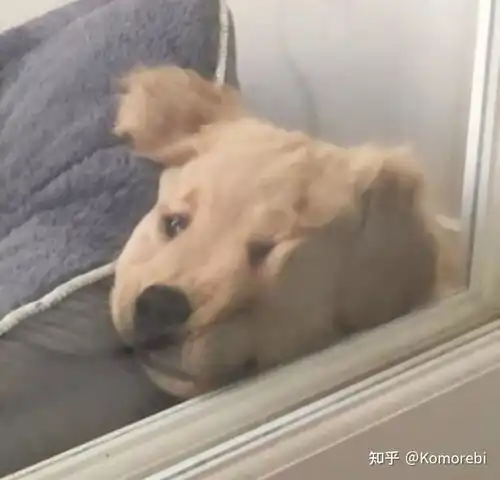 qq音乐学生优惠没有了吗