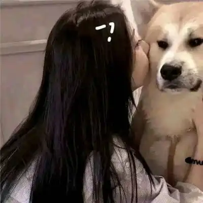 喜欢你不需要理由