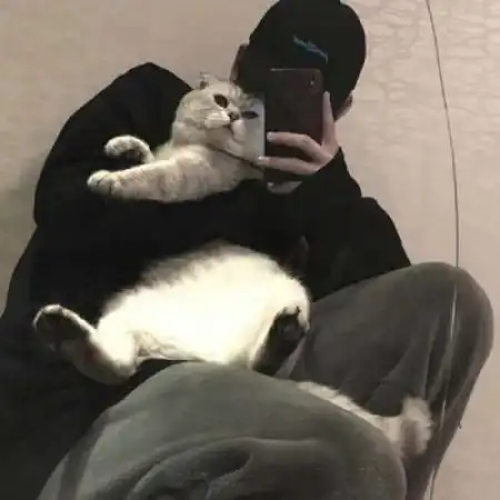 抱猫的男生头像,和猫在一起的是否接受呢