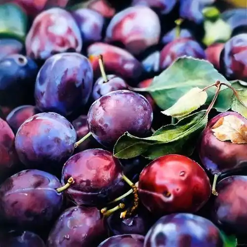 吹爆ins上这8位超火的艺术家,他们把水果画到了极致,质感满分看完垂涎欲滴......