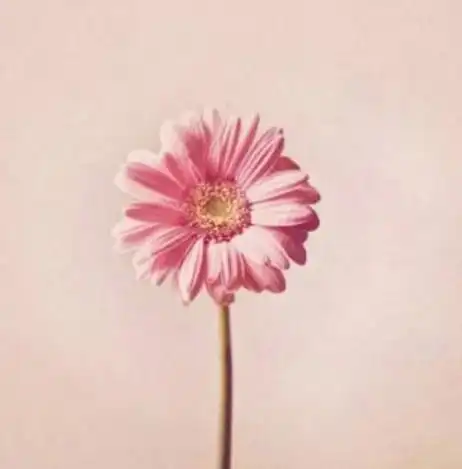 小清新头像风景系扣扣网