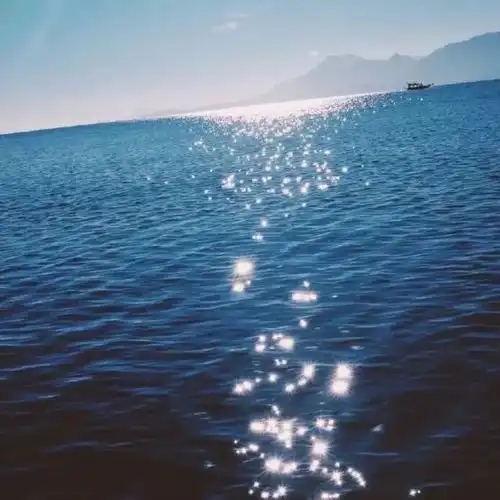 喜欢到爆的情感经典语录,掏心掏肝,感人至深