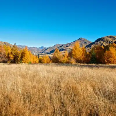 2023自然与科技风景头像