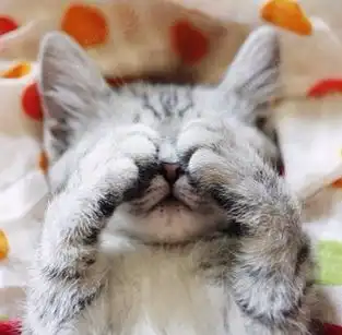 你给我买维多利亚湾,第二天我就变成女王