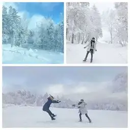 有鹿的微信头像系列图片