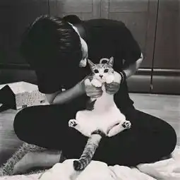 黑系男生头像真人图文似
