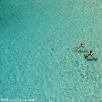 象征自由的男人头像微信头像图片大全