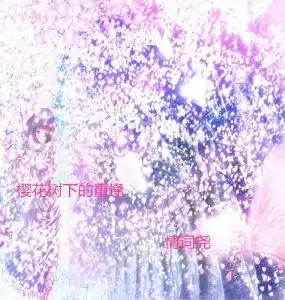 樱花树下的重逢