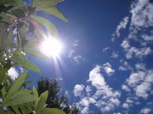 5月28号鸿运不断,大财找上门,喜事频发,添丁添福的3大生肖