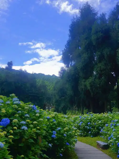 夏天的风带来了天台山清凉,6月壁纸来了