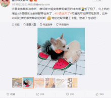 淘宝x沙县开了这家萌系治愈所,ins画风萌得外卖小哥都不认得了