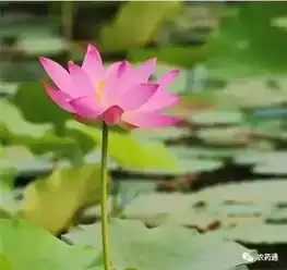 10句人生格言,太精辟了,给你看看