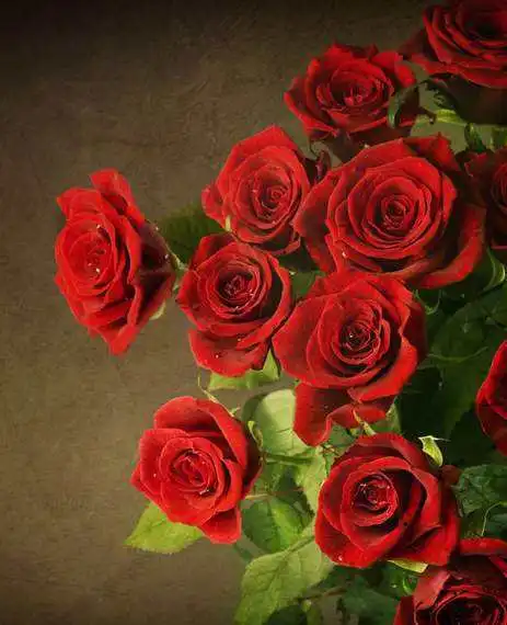 财富溜进门,富贵在手中4生肖立秋后财运转好,昌达鼎盛