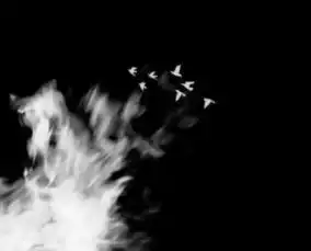 最近忘忧套图火了念与不念,你都在我的字里行间