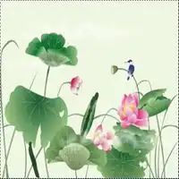 好看的荷花微信头像图片微信头像图片大全