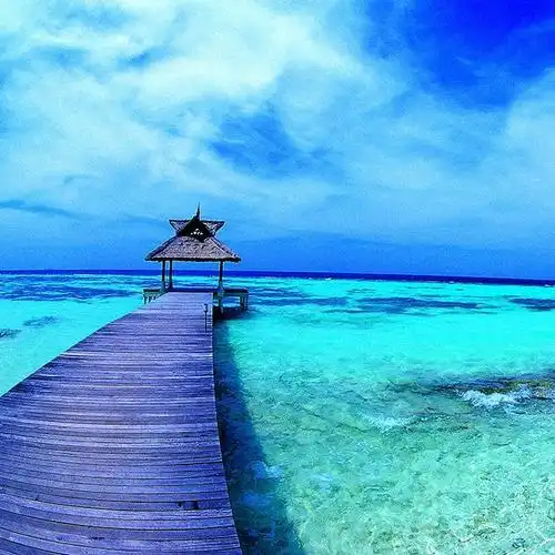 绿叶伪装网久违的遇见,别有一番滋味