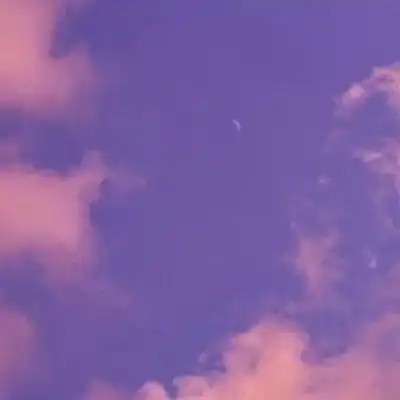 风景静物头像秋天到了喔