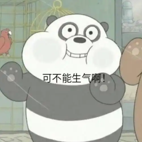 卡通熊头像搞笑逗比卡通